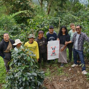 indonesia java kojoyo sindoro double fermentation