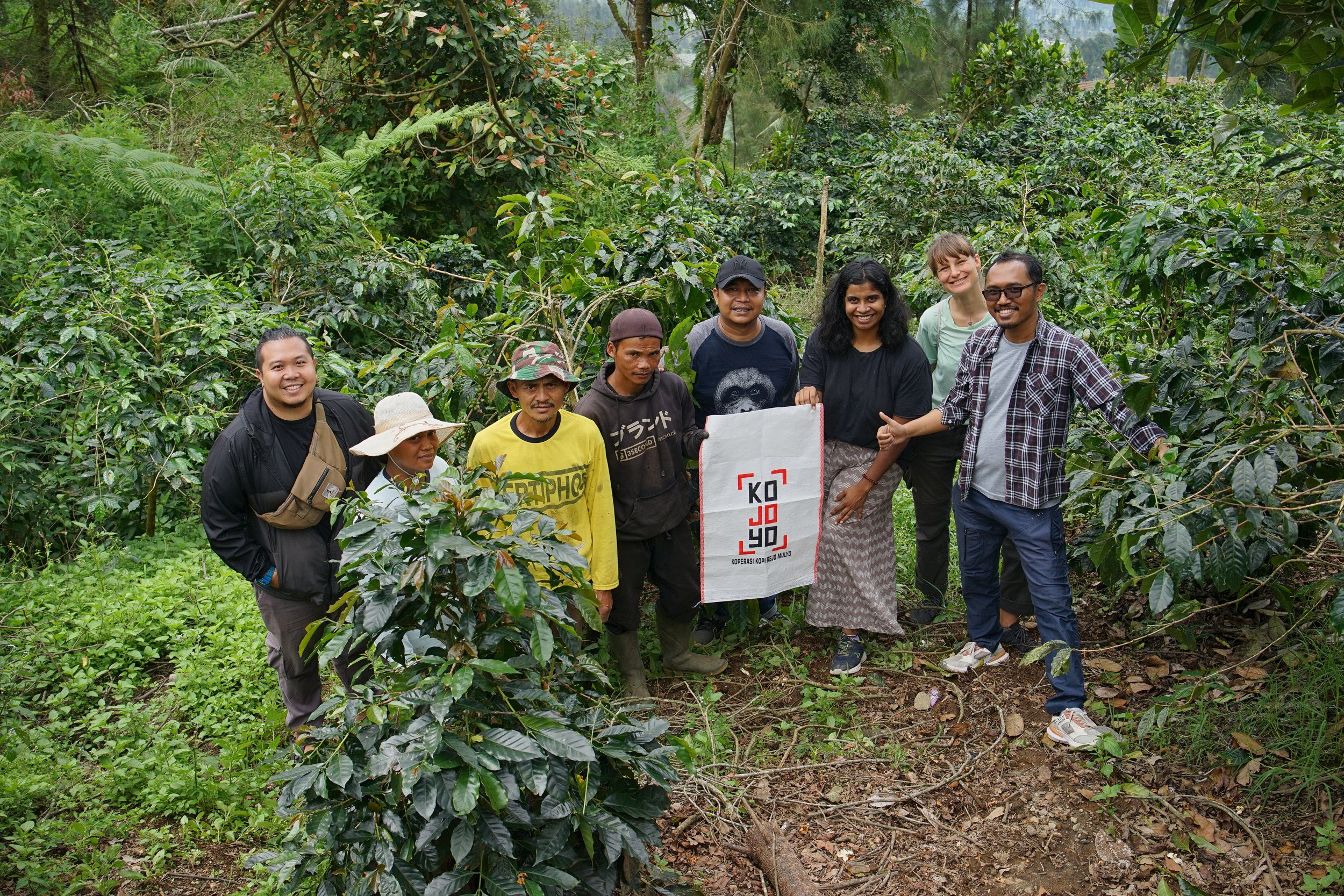 indonesia java kojoyo sindoro double fermentation indonesia java kojoyo sindoro double fermentation