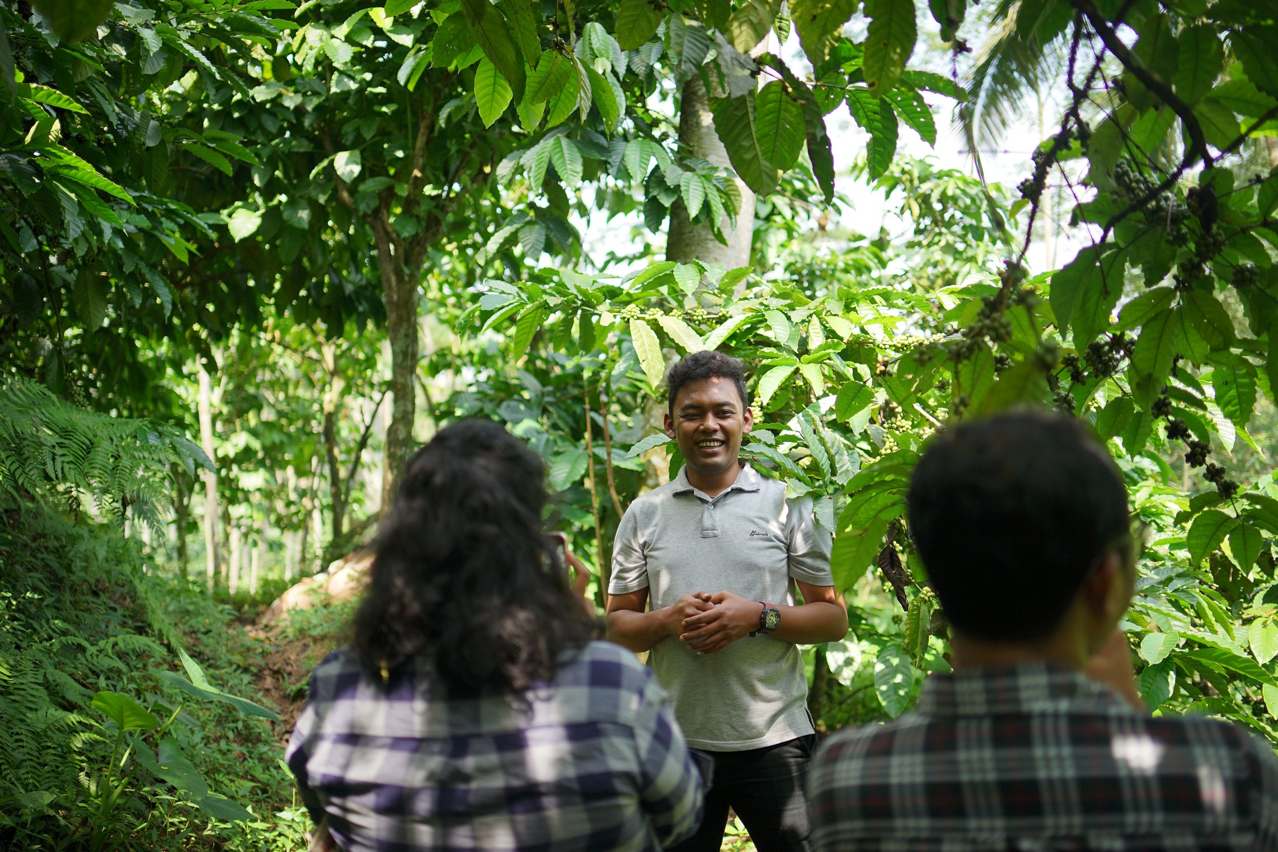 indonesia java kojoyo sindoro double fermentation indonesia java kojoyo sindoro double fermentation