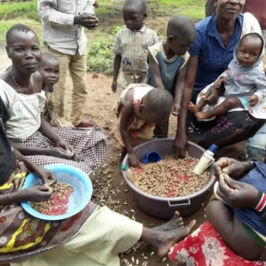 uganda zombo ndhew microstation lot natural