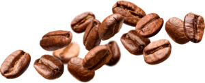 roasted coffee beans isolated