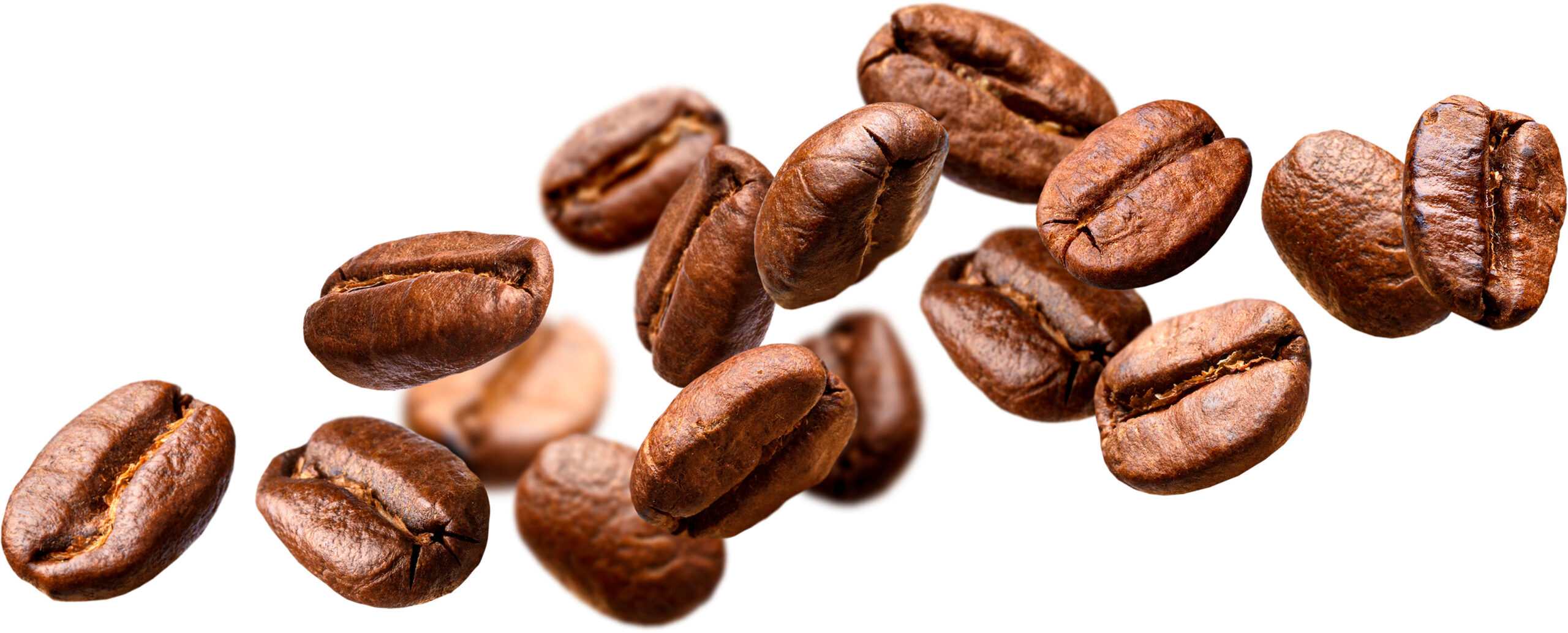 roasted coffee beans isolated